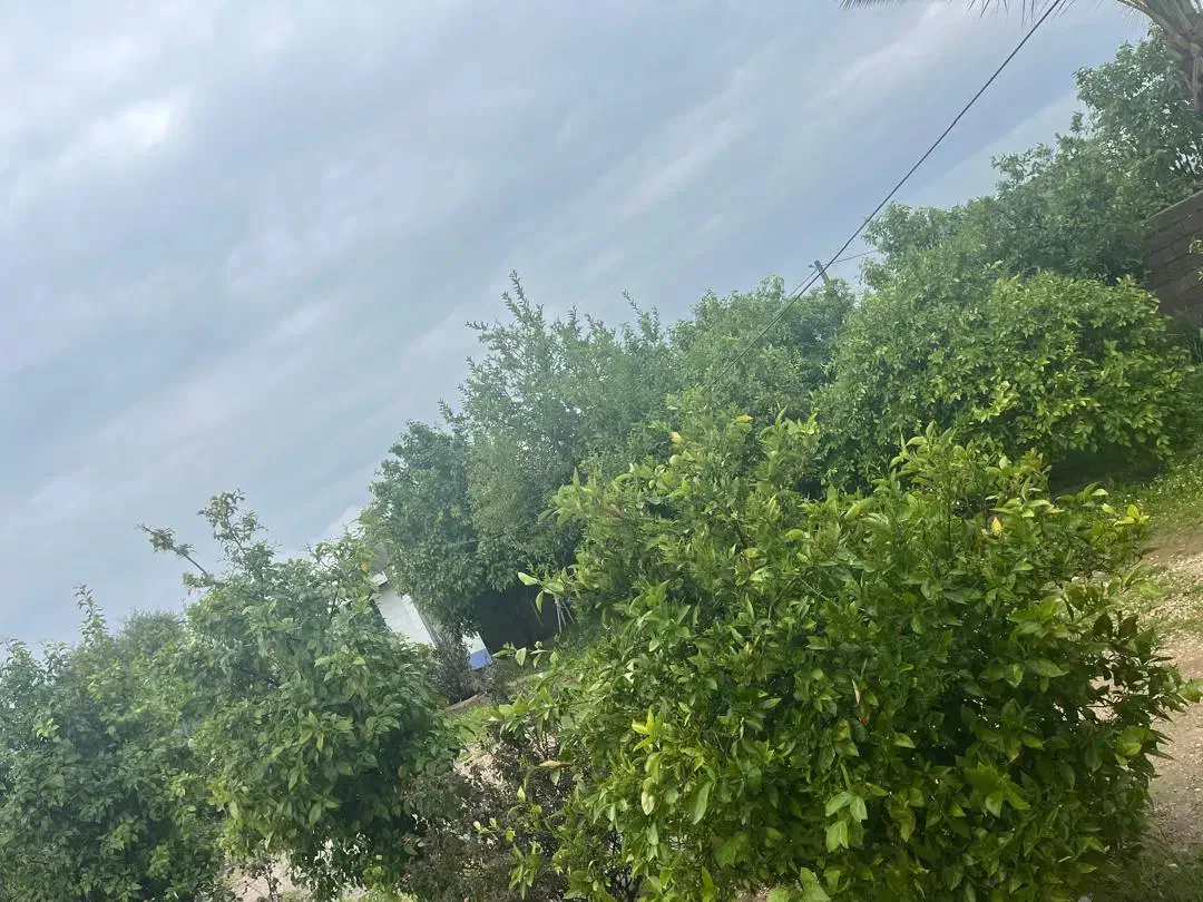 سوییت در اندیکا(ناصرخسرو)|اجارهٔ کوتاه‌مدت آپارتمان و سوئیت|مسجد سلیمان, |دیوار