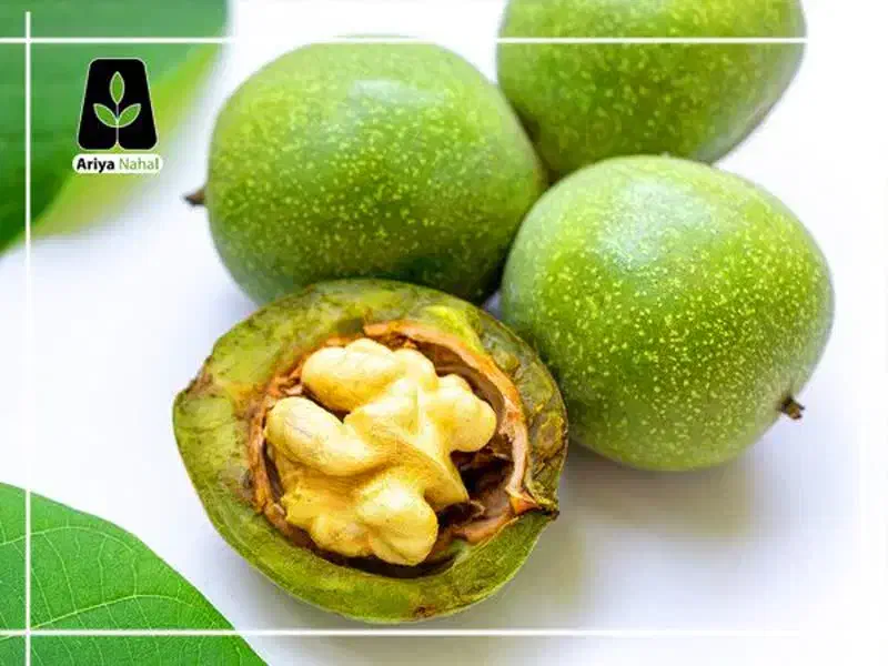 گردو پوست کنی حیدری|خدمات پیشه و مهارت|خمینی‌شهر, |دیوار