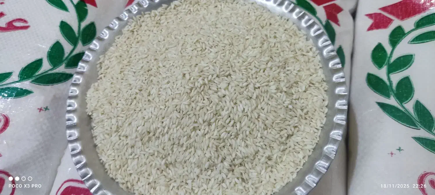 خوردنی شوشتر|خوردنی و آشامیدنی|شوشتر, |دیوار