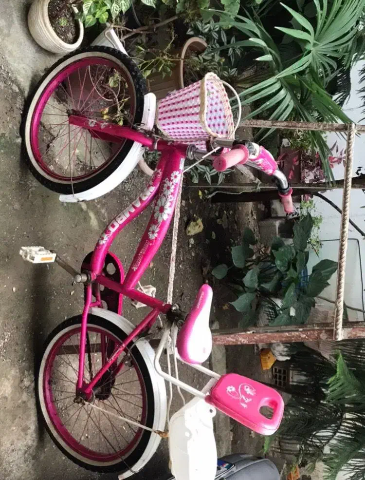 فروش دوچرخه در حد نو|دوچرخه، اسکیت، اسکوتر|تالش, تالش|دیوار