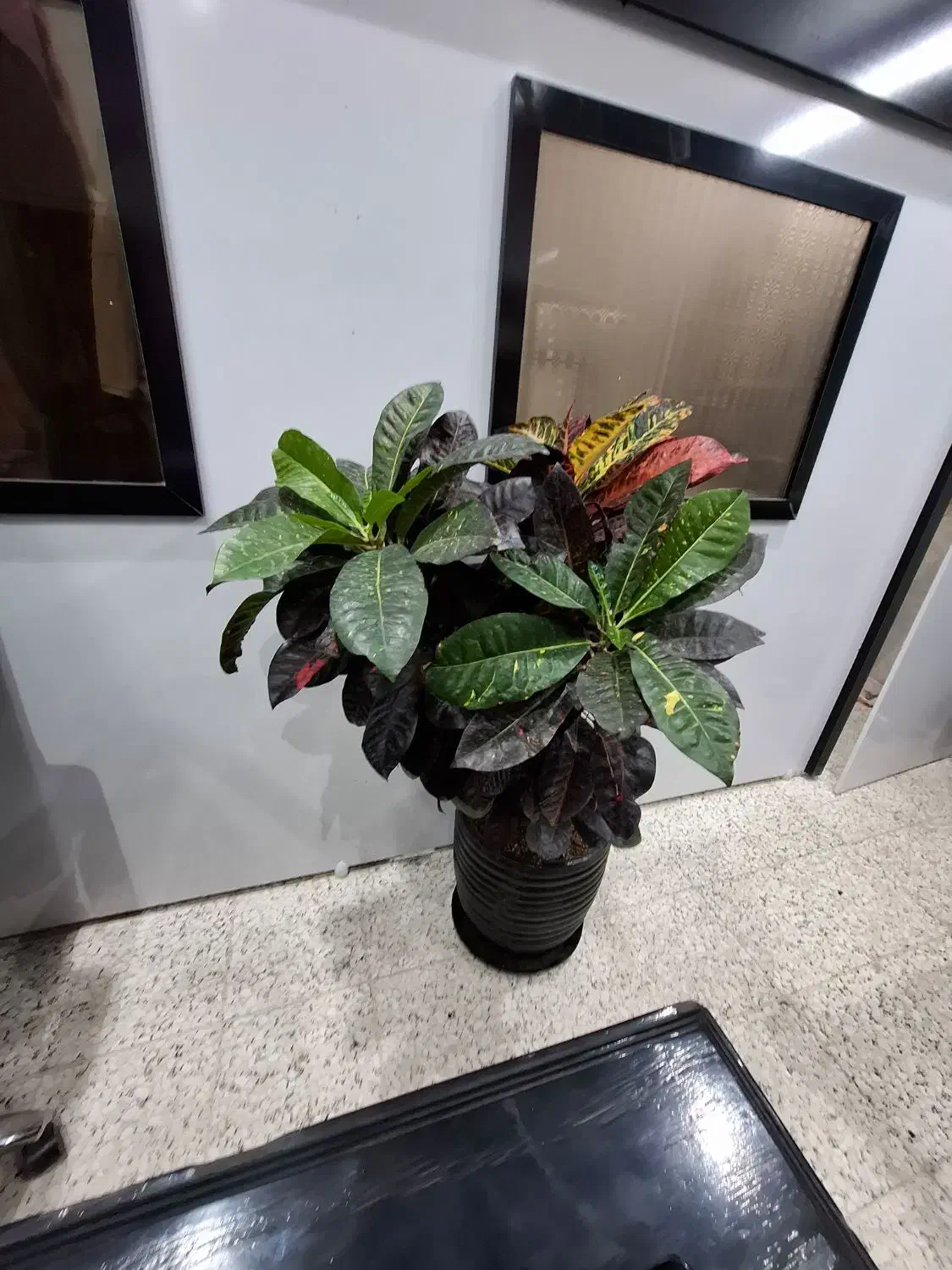 آپارتمان125متر/3خواب/تک واحدی(چمن)|فروش آپارتمان|مشهد, هفده شهریور|دیوار