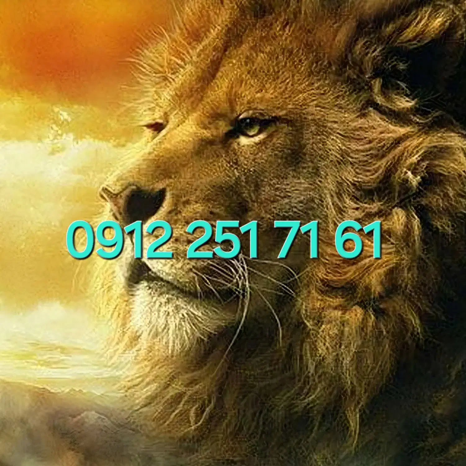 09122517161|سیم‌کارت|تهران, باغ فیض|دیوار