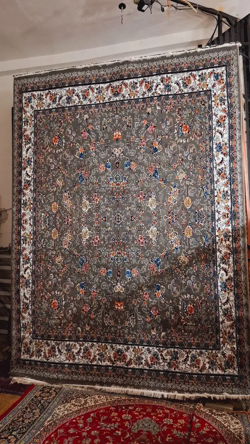 افشان طوسی چندین‌جفت ۶متری|فرش|علی‌آباد کتول, |دیوار