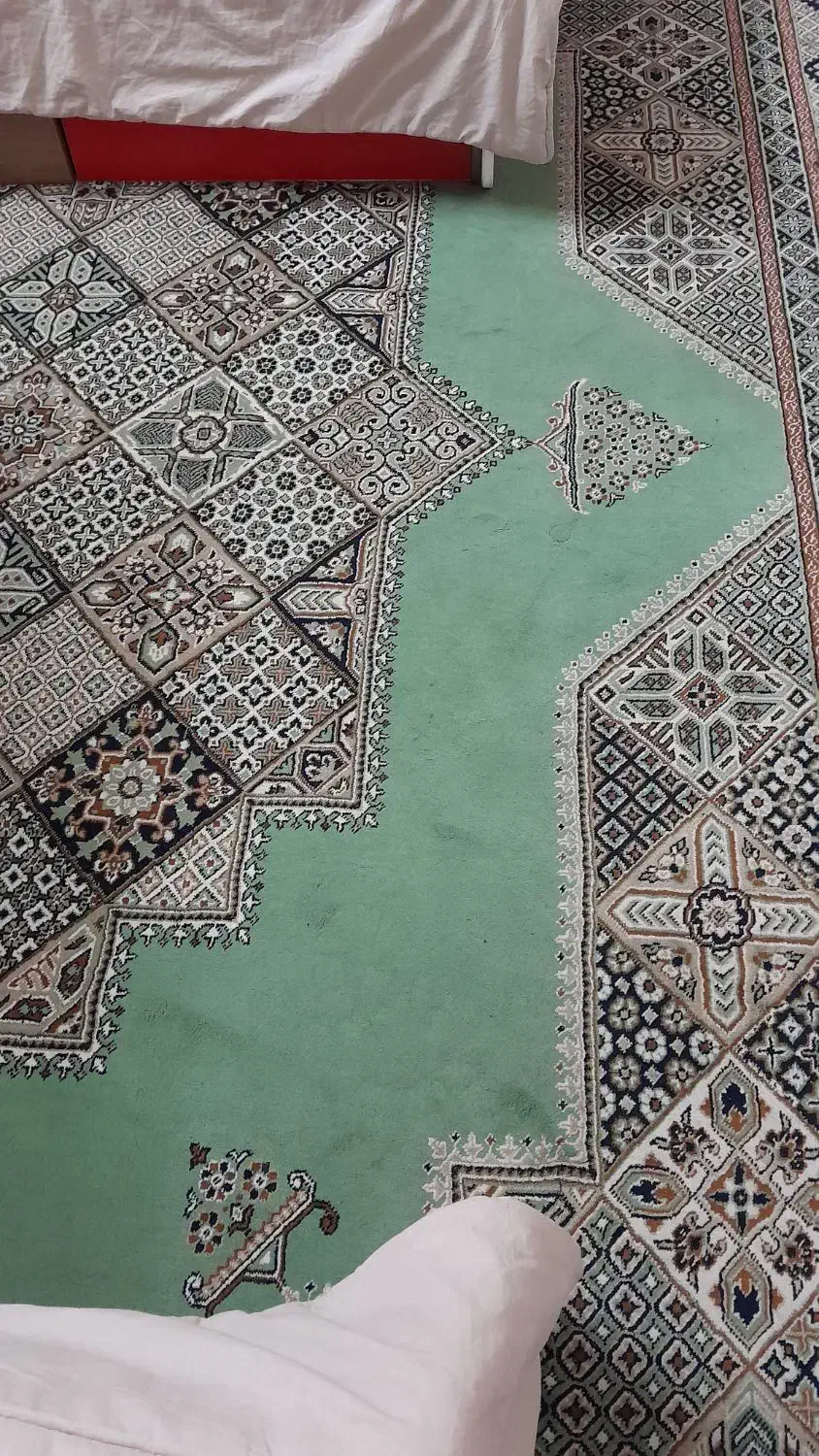 فرش ۱۲ متری زمینه سبز رنگ|فرش|باقرشهر, |دیوار