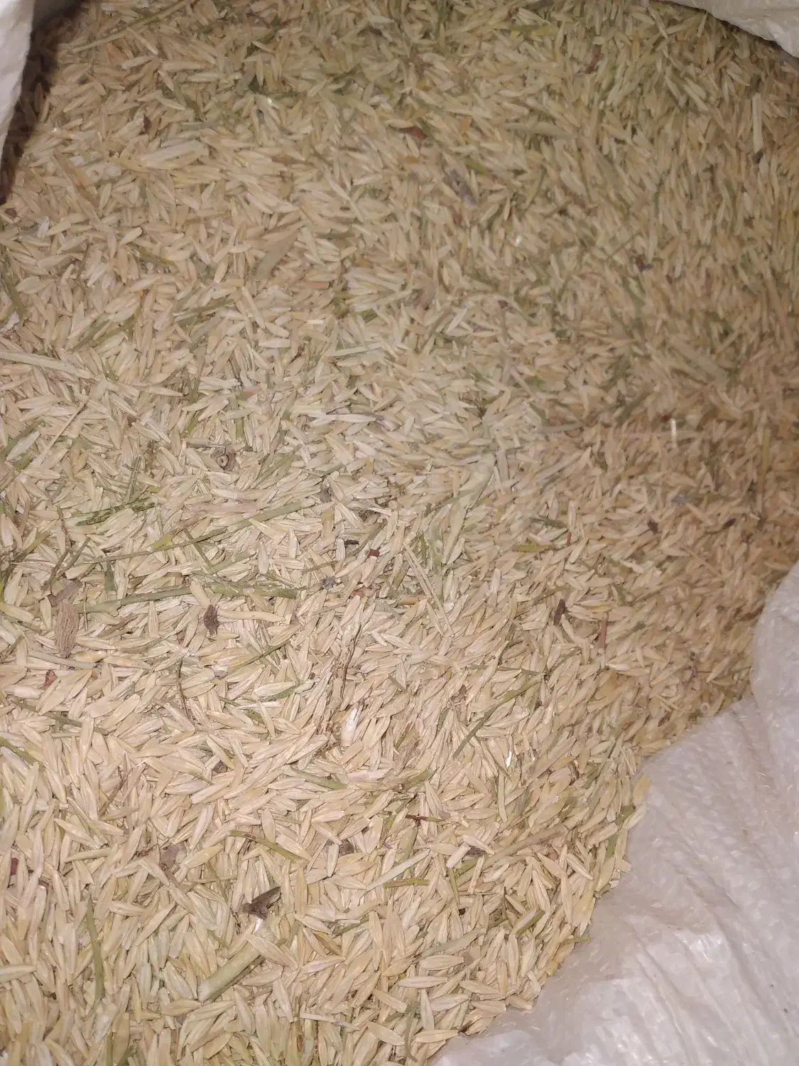 جو ترش|لوازم جانبی حیوانات|نیشابور, دارایی|دیوار