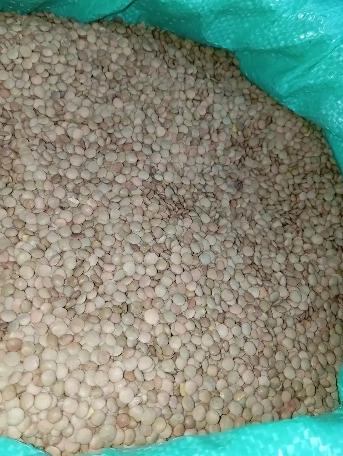 مواد غذای و خشکبار و برنج حبوبات|خوردنی و آشامیدنی|آبیک, |دیوار