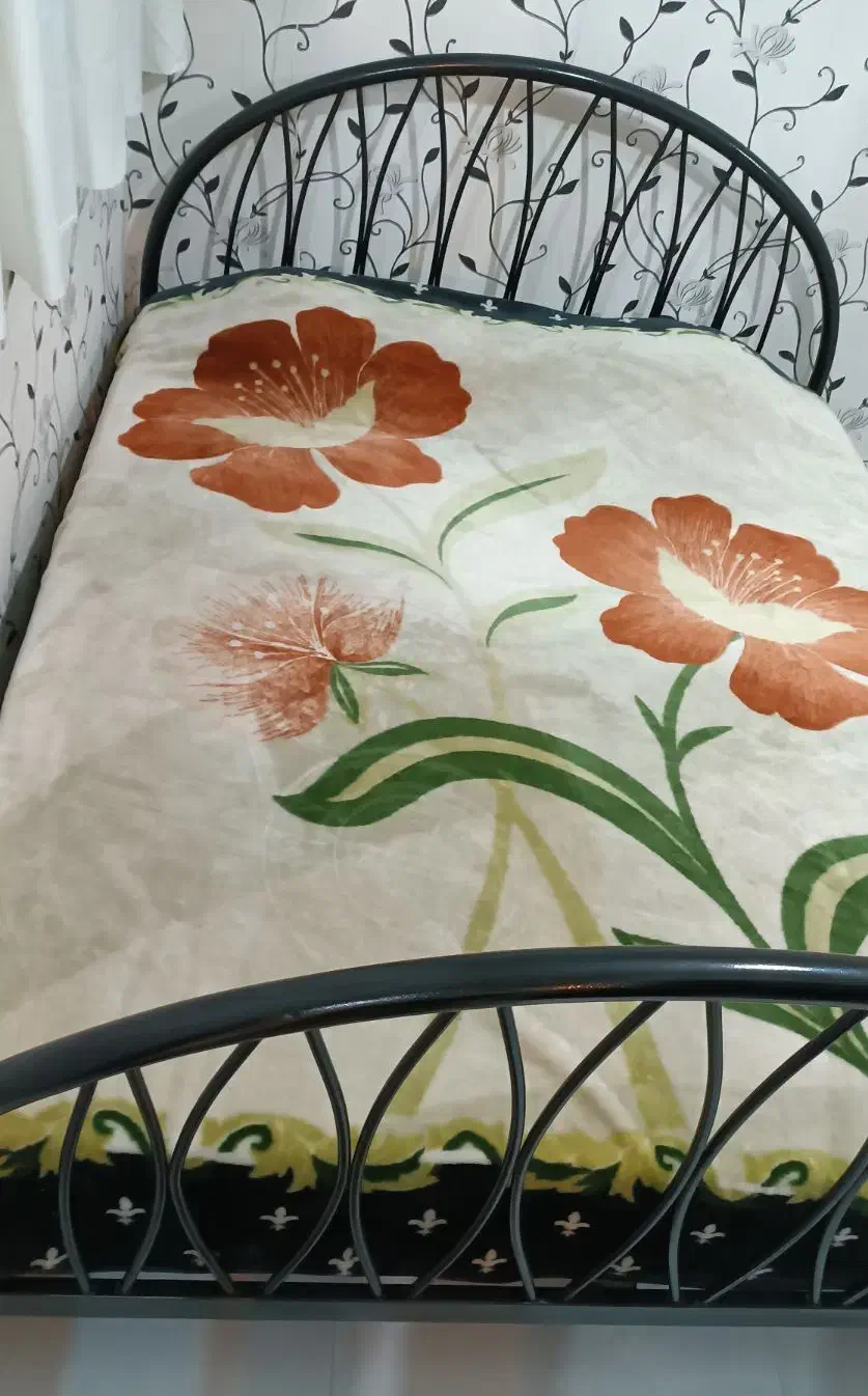 تخت فلزی دو نفره|تخت و سرویس خواب|همدان, |دیوار