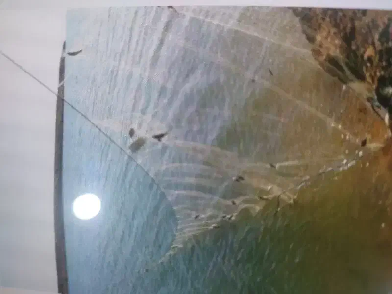 تور ماهیگیری|ماهی|چمستان, |دیوار