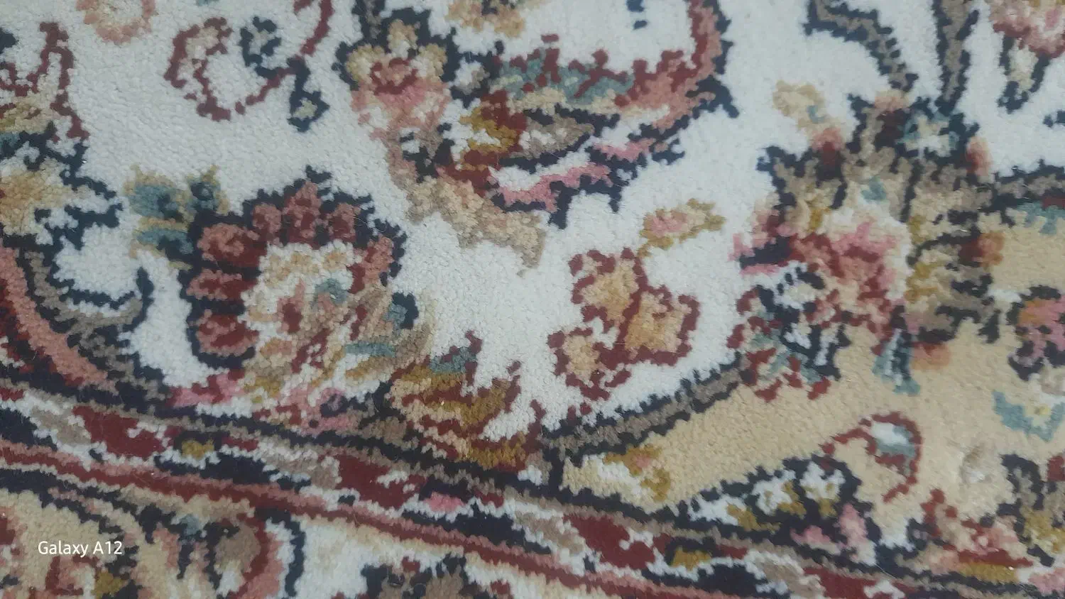 فرش ۶ متری|فرش|گنبد کاووس, |دیوار