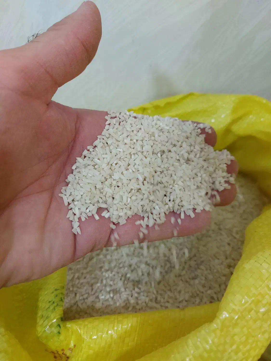 لاشه هاشمی خالص خالص به وزن ۳۵۰۰ کیلو|خوردنی و آشامیدنی|پرهسر, |دیوار