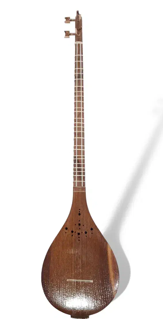 سه تار اریا دو مهر|سازهای سنتی|شیراز, زرهی|دیوار