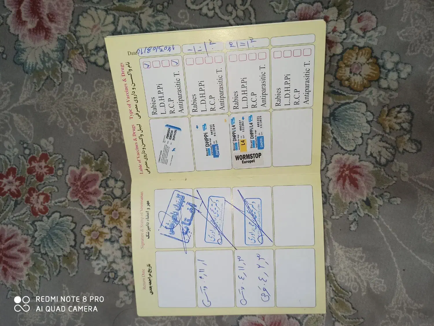 سگ پامر|سگ|ری, امین آباد|دیوار