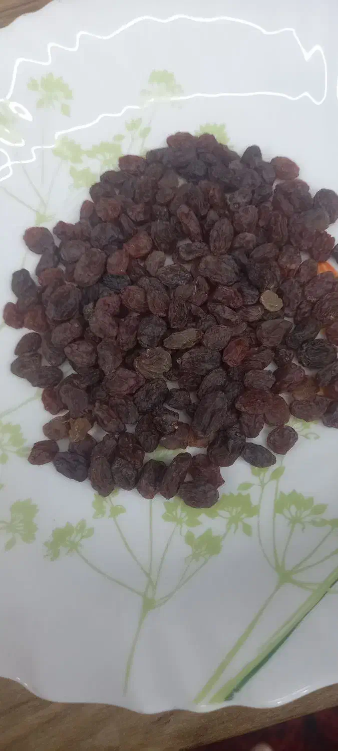 شیره ،سایه خشک و کشمش آفتابی درجه یک|خوردنی و آشامیدنی|ملایر, |دیوار