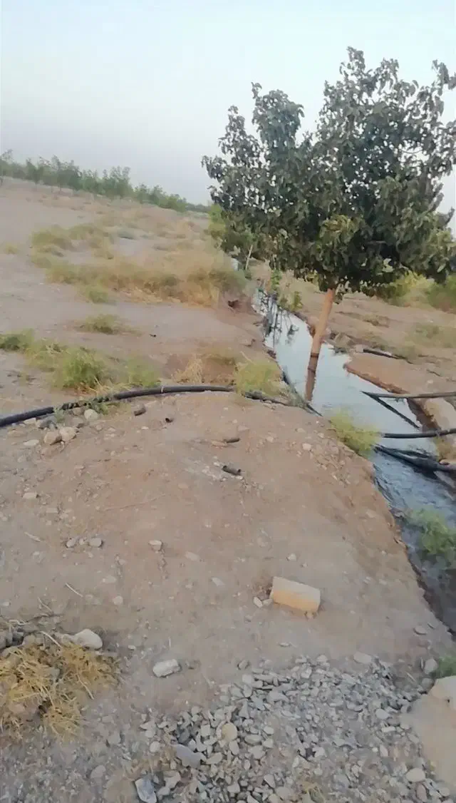 باغ بهمراه آب|فروش زمین و ملک کلنگی|خوسف, |دیوار