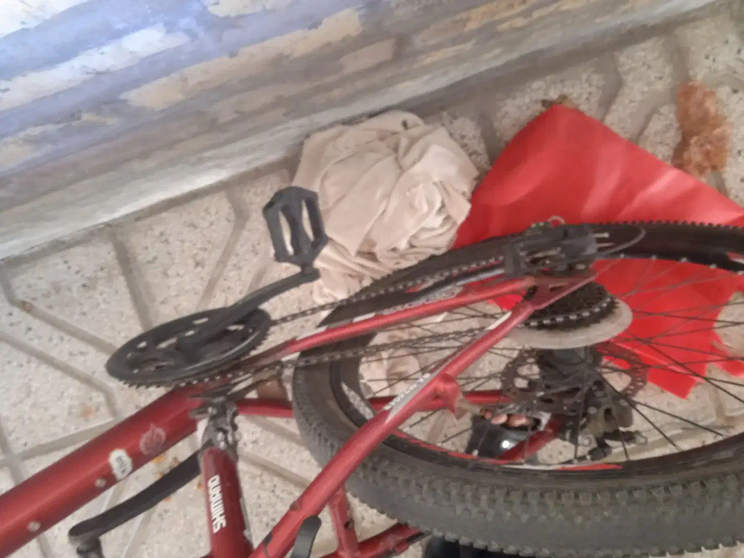 دوچرخه ۲۴|دوچرخه، اسکیت، اسکوتر|کاخک, |دیوار