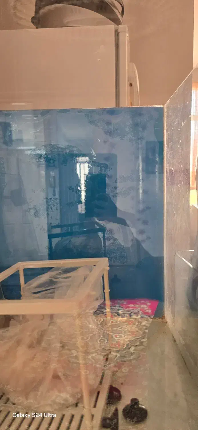 اکواریوم|ماهی|بروجرد, |دیوار