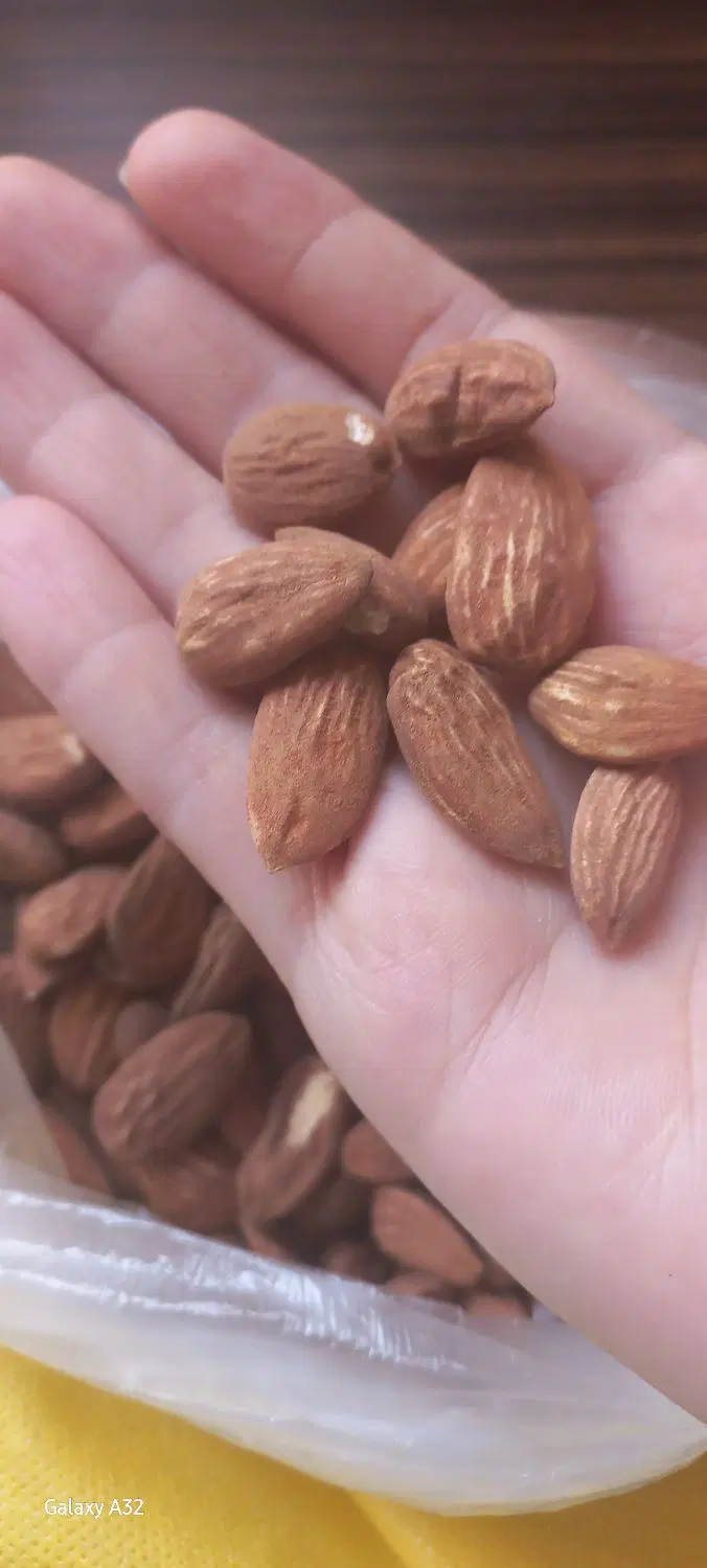 بادام درختی|خوردنی و آشامیدنی|تهران, وحیدیه|دیوار