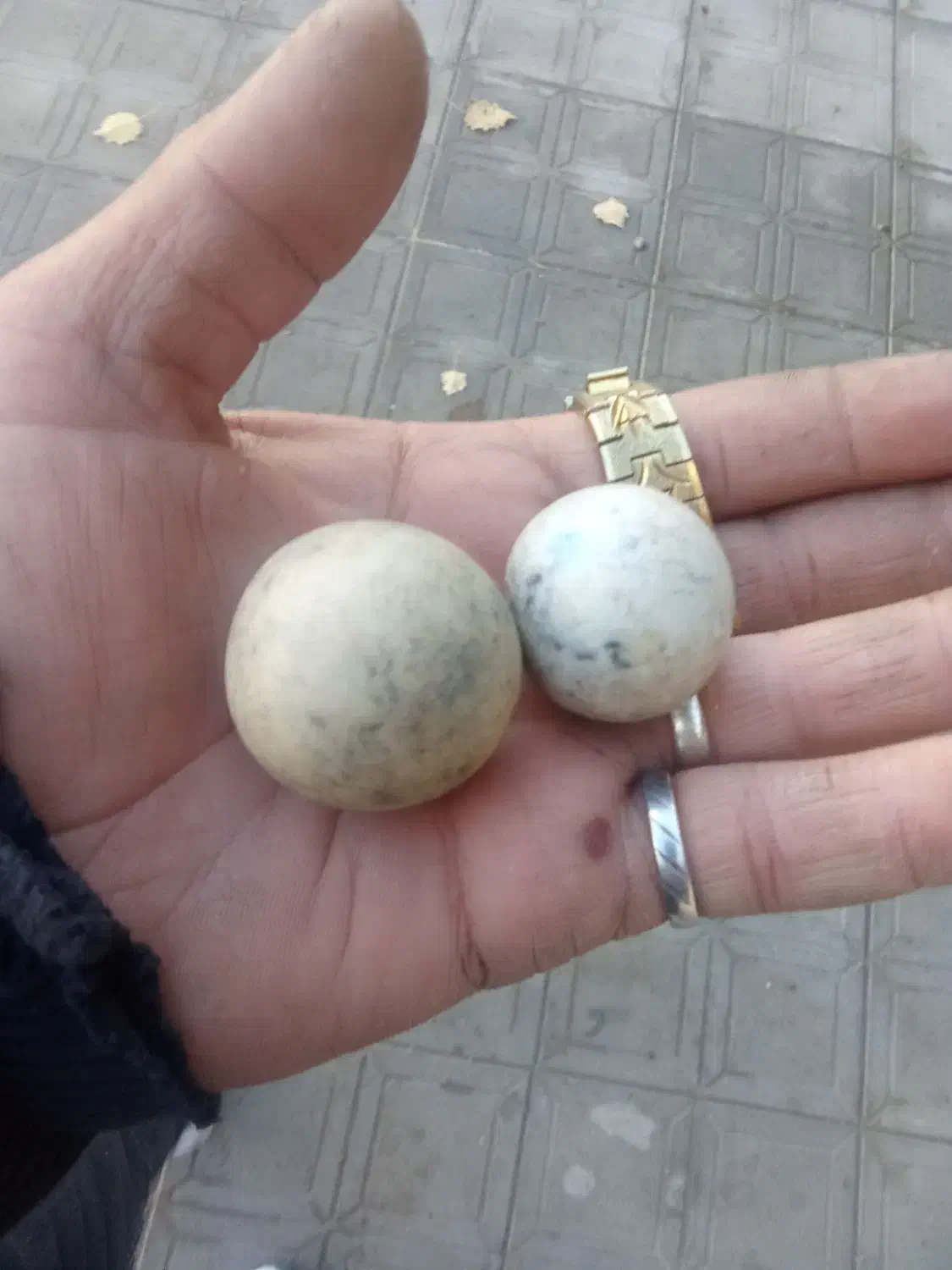 دوتاسنگ‌اسیاب ‌|کلکسیون اشیاء عتیقه|قروه, |دیوار