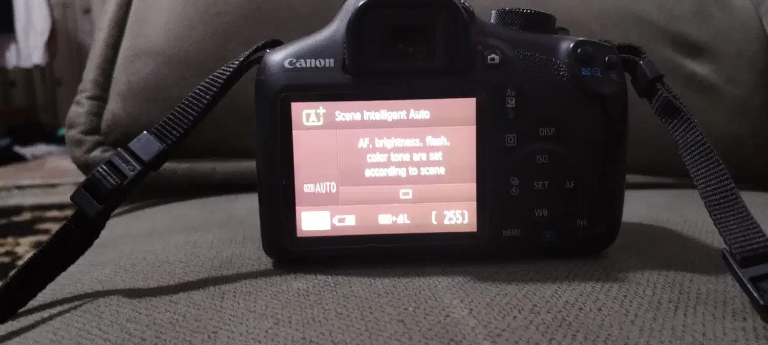 canon1300D|دوربین عکاسی و فیلم‌برداری|شیراز, میانرود|دیوار