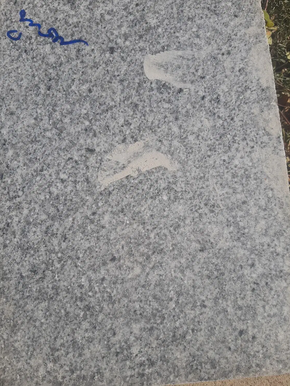 اجاره خانه ویلایی|اجارهٔ خانه و ویلا|زرندیه, |دیوار