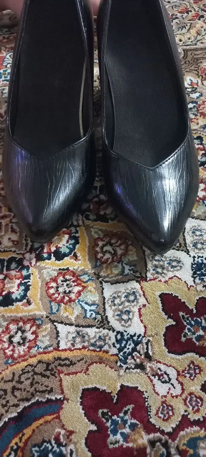 کفش|کیف، کفش، کمربند|اسلام‌شهر, شهرک الهیه|دیوار