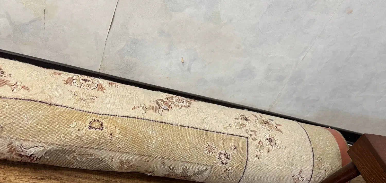 فرش ۱۲ متری|فرش|بندر ماهشهر, |دیوار