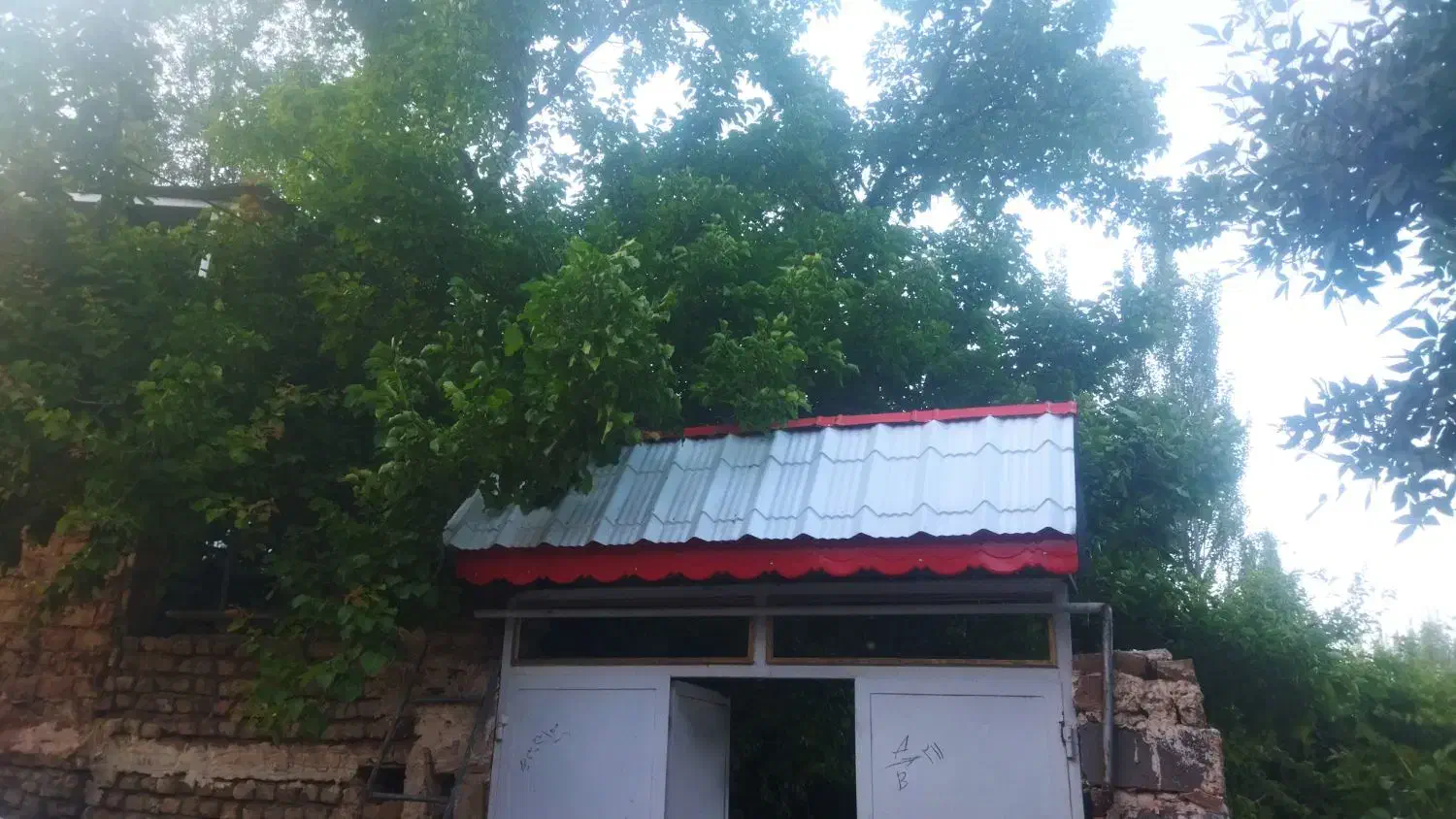 نصب سایبان و آلاچیق حفاظ|خدمات پیشه و مهارت|تربتحیدریه, حاجی یار|دیوار