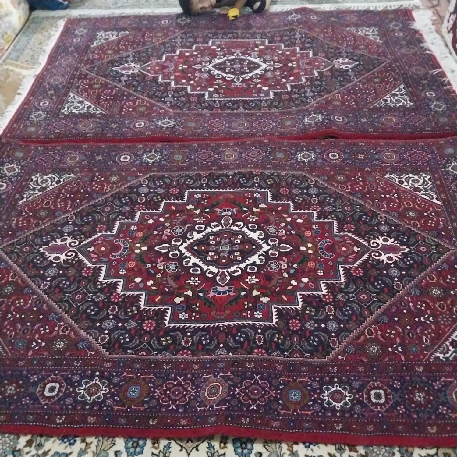 فرش دست بافت|فرش|زنجان, |دیوار