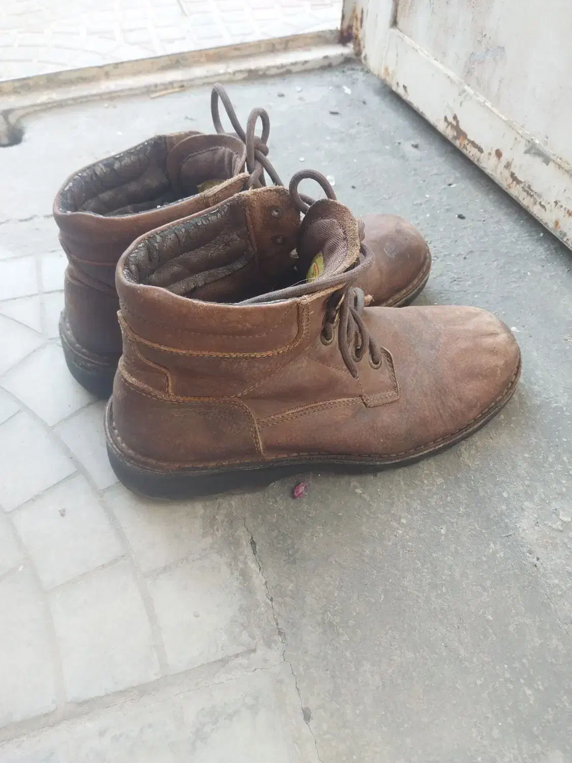 کفش کار|کیف، کفش، کمربند|فسا, |دیوار