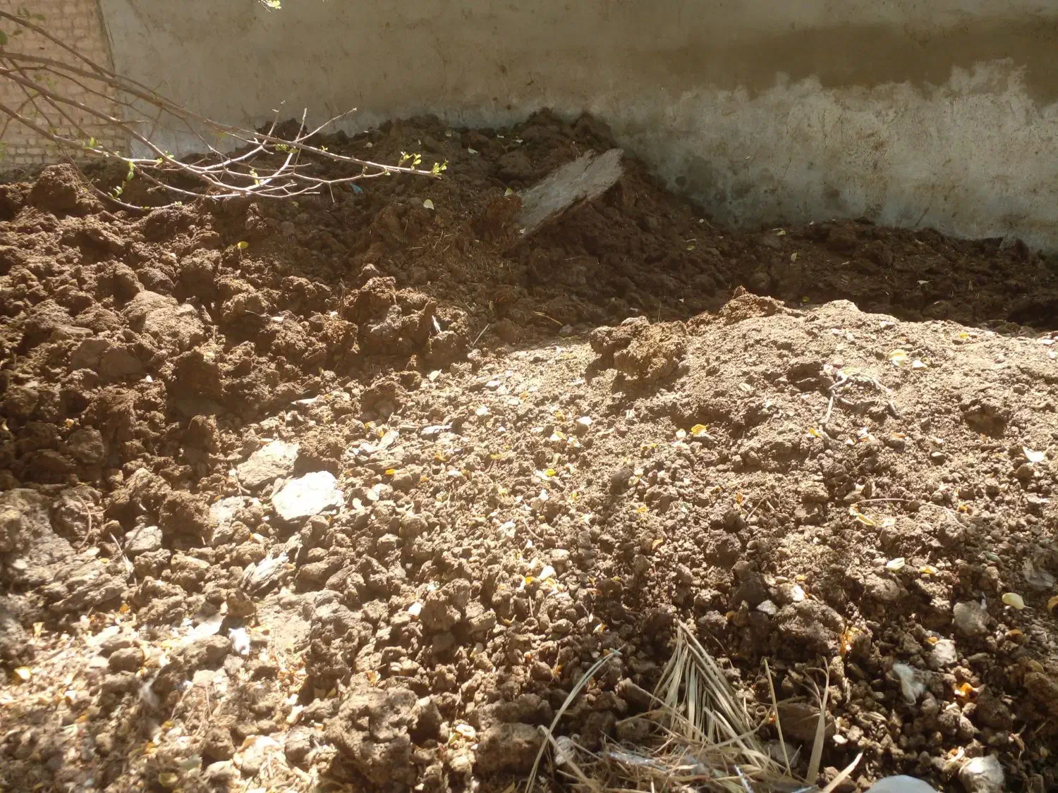 کود.حیوانی|لوازم جانبی حیوانات|سوسنگرد, |دیوار