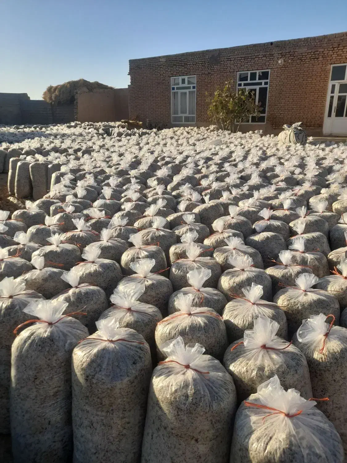 فروش‌تفاله‌تر‌چغندرمیاندواب|لوازم جانبی حیوانات|میاندوآب, |دیوار