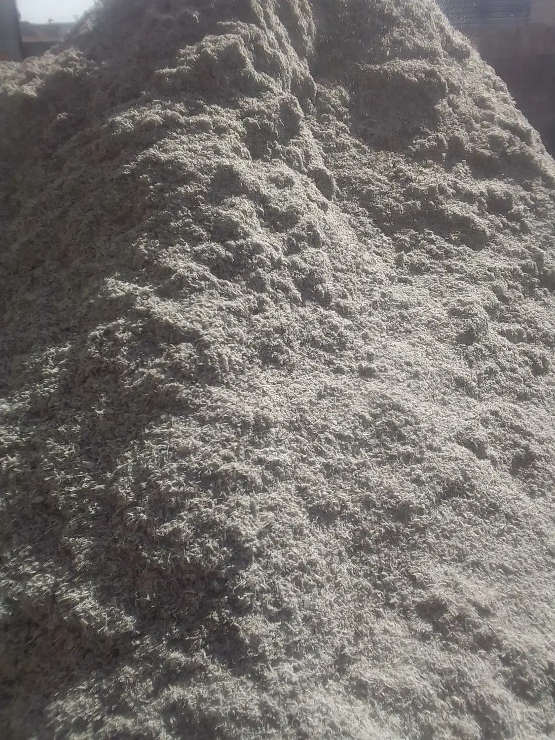 توفال چغندر قند|حیوانات مزرعه|تربت‌حیدریه, قاسم آباد|دیوار