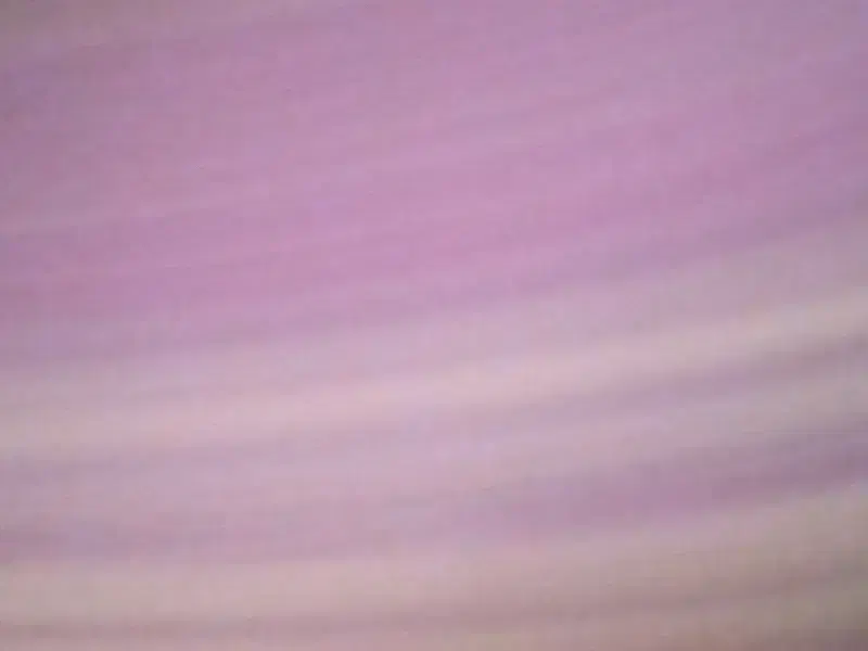 جویای کار خانم|خدمات پیشه و مهارت|نیشابور, باغرود|دیوار