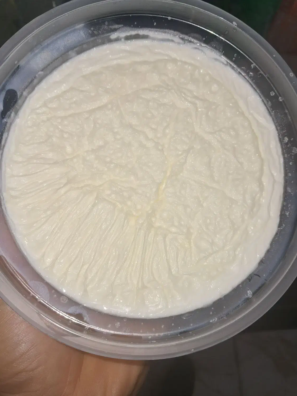 لبنیات سنتی اهورا شیر دوغ ماست کشک کره پنیر|خوردنی و آشامیدنی|شیراز, ظفرآباد|دیوار
