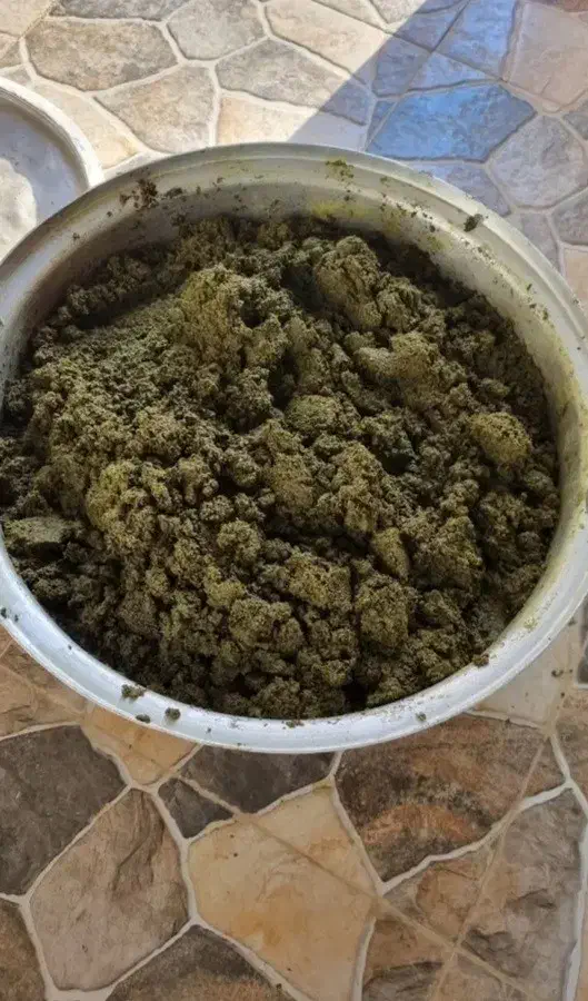 سبزی|خوردنی و آشامیدنی|عسلویه, |دیوار
