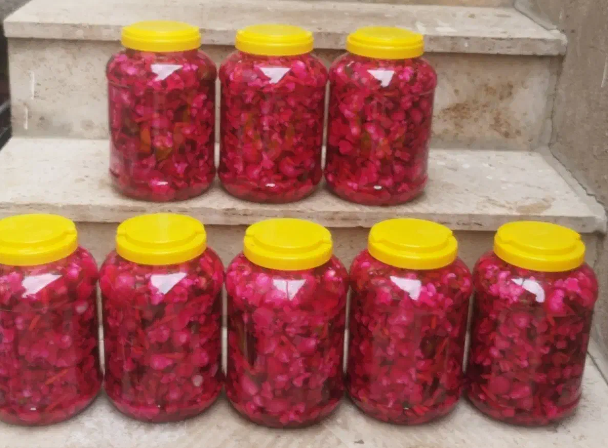 ترشیجات خوشمزه آماده شد|خوردنی و آشامیدنی|ماکو, |دیوار