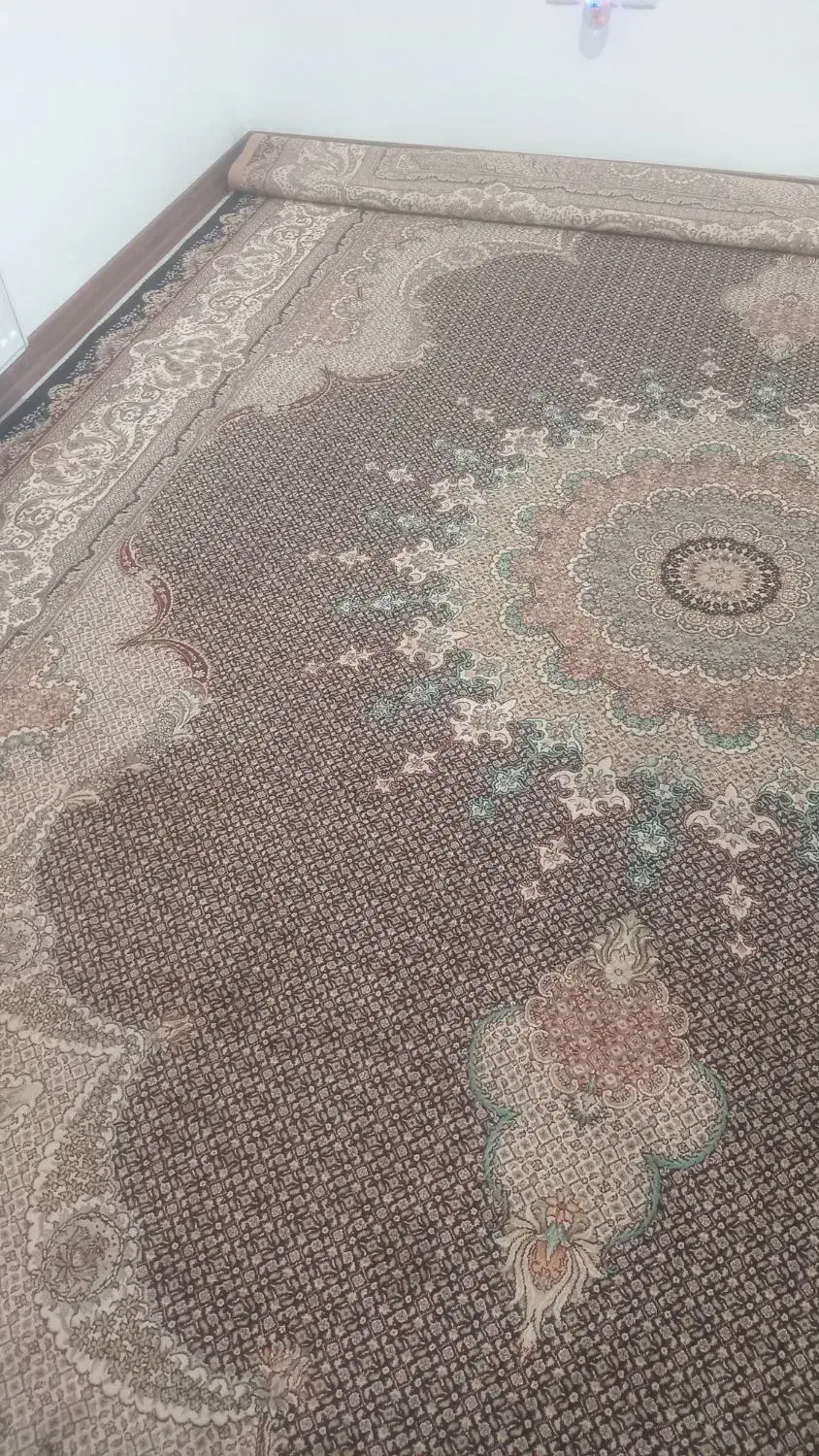 فرش|فرش|زنجان, |دیوار