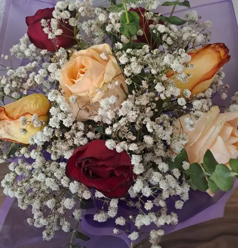 کار آموز عکاسی،فیلمبرداری و آتلیه سیار|استخدام هنری و رسانه|پردیس, فاز ۵|دیوار