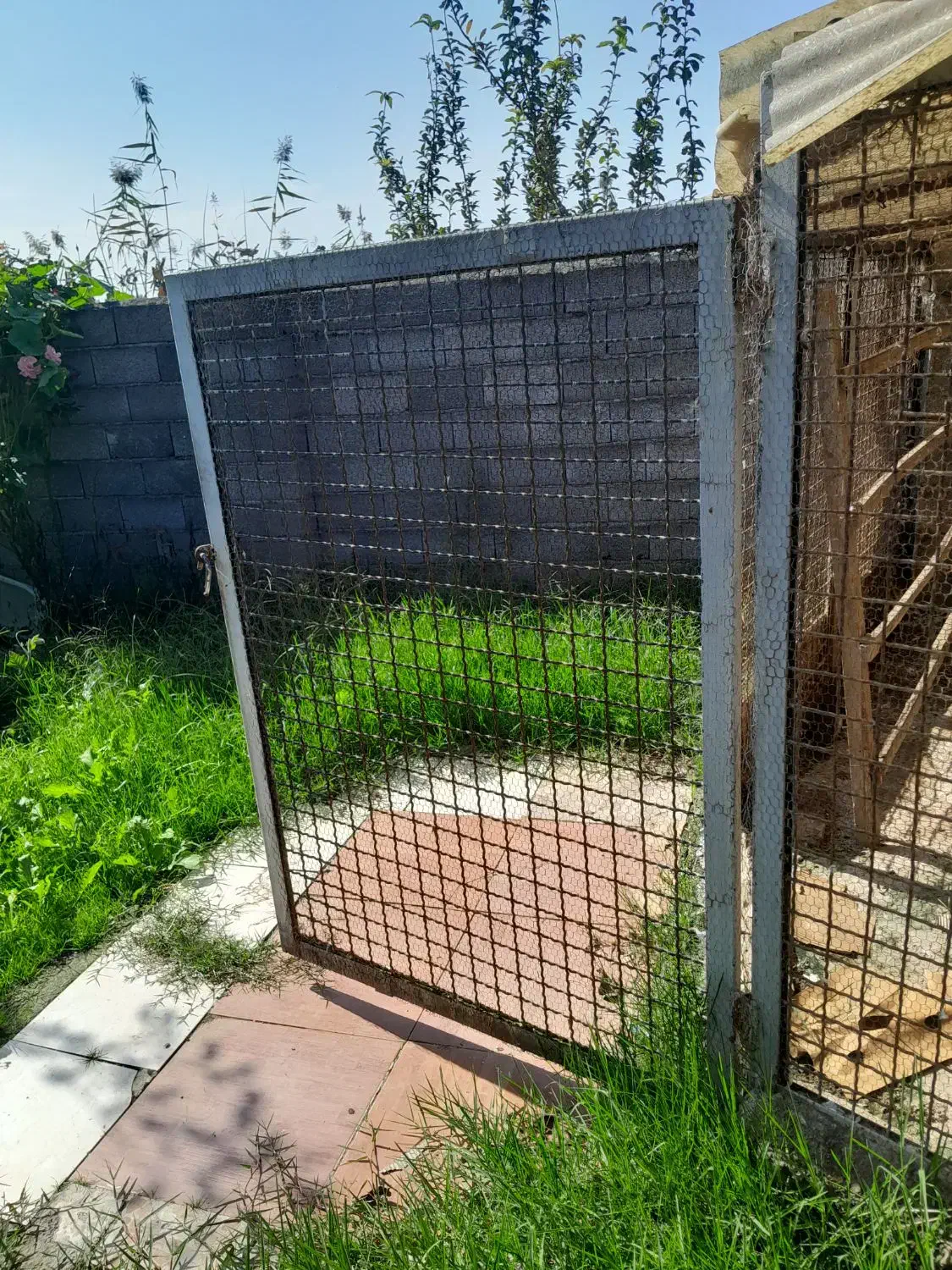 فنس برای لانه کبوتر|لوازم جانبی حیوانات|کیاشهر, |دیوار