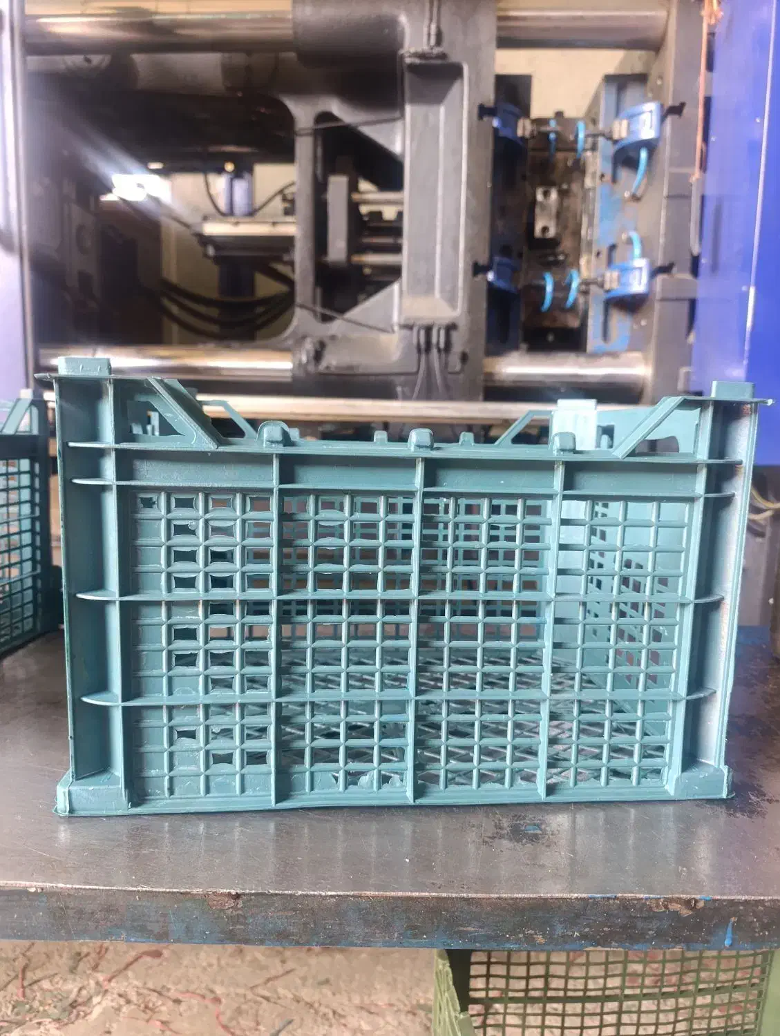 سبد ۱۴ کیلویی|ظروف نگهدارنده، پلاستیکی، یکبارمصرف|قائمشهر, |دیوار