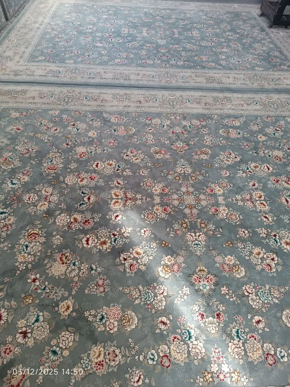 فروش قالی|فرش|مریوان, |دیوار