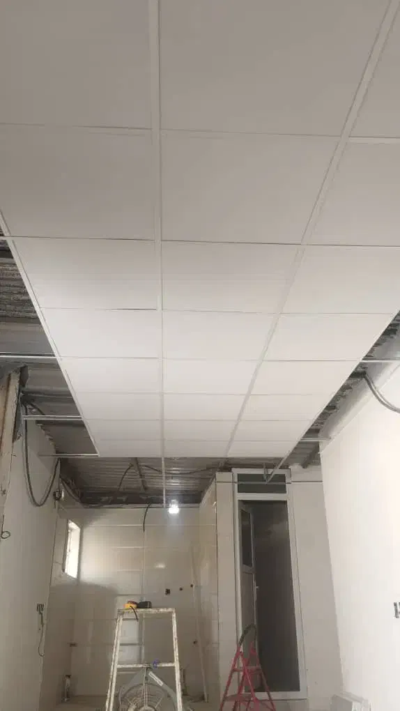 اجرای سقف کاذب|خدمات پیشه و مهارت|بوشهر, |دیوار