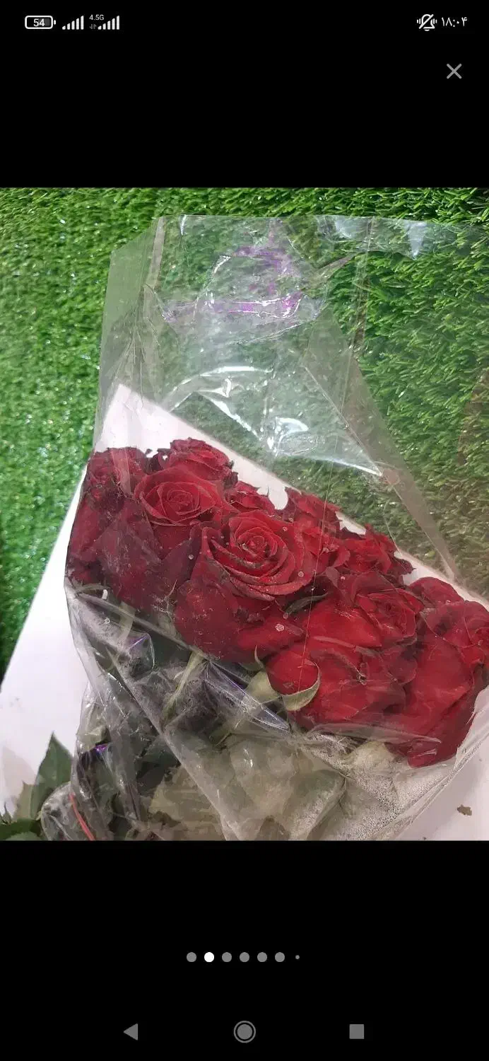 گل رز طبیعی .ودسته گل طبیعی با گل رز وگل های خوشگل|گل و گیاه طبیعی|کرج, حصارک پایین|دیوار