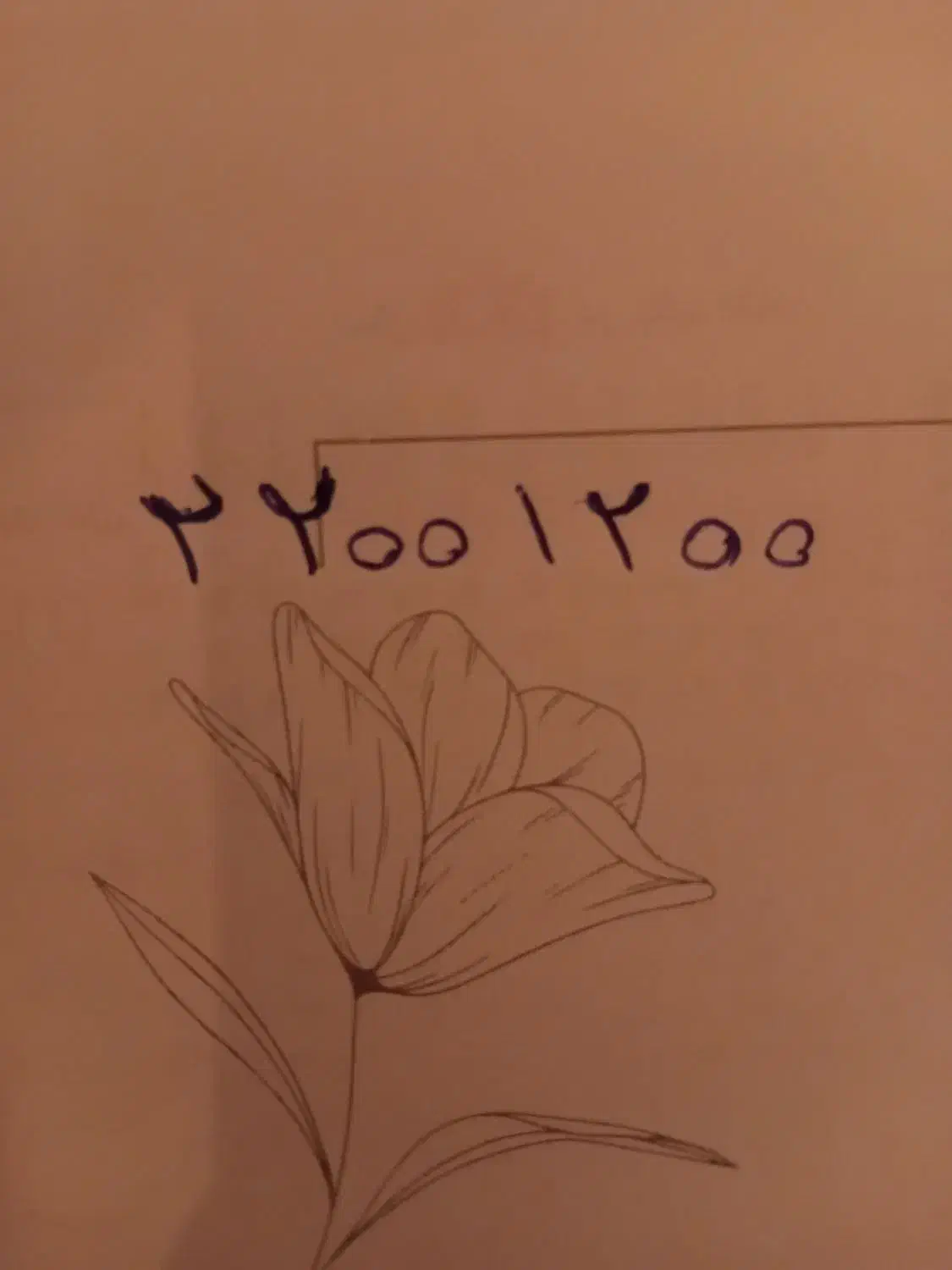 22001200 خط ثابت رند بیلبوردی|تلفن رومیزی|تهران, جردن|دیوار