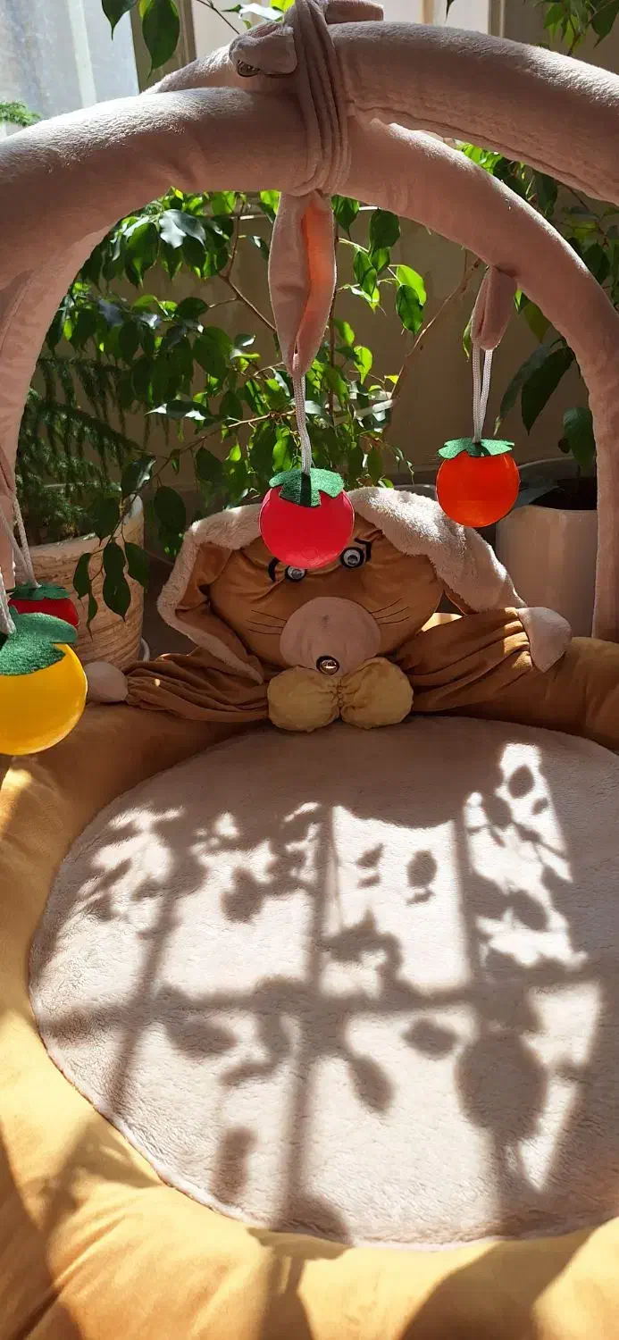 یک هدیه خاص|تخت و صندلی بچه|کاشان, فاز ۲ ناجی آباد|دیوار