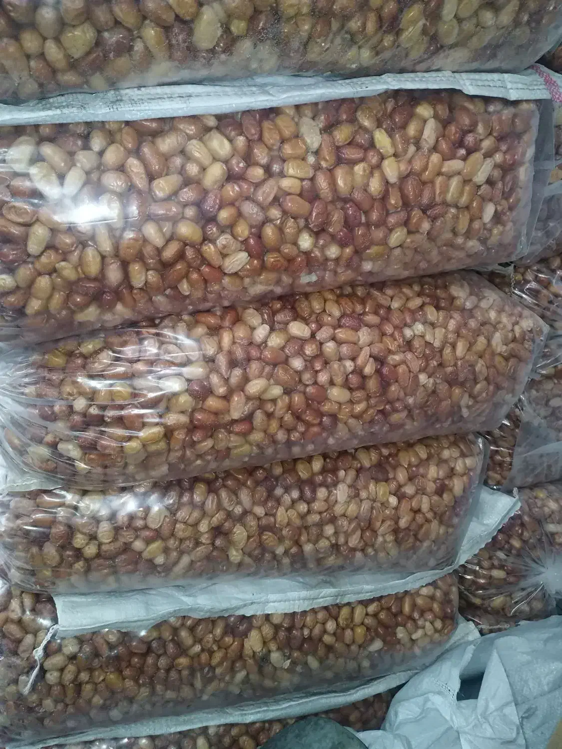 سنجد|خوردنی و آشامیدنی|کرمانشاه, |دیوار