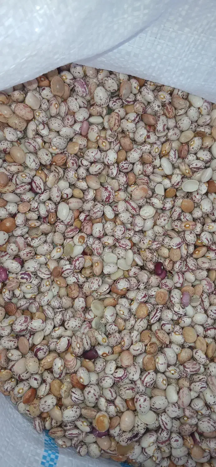 فروش لوبیا چیتی 2تن بوجاری شده کیسه 30کیلویی|خوردنی و آشامیدنی|مرودشت, استادیوم‎|دیوار