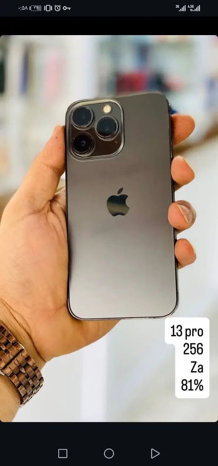 آیفون 13 پرو|موبایل|نیشابور, امام|دیوار