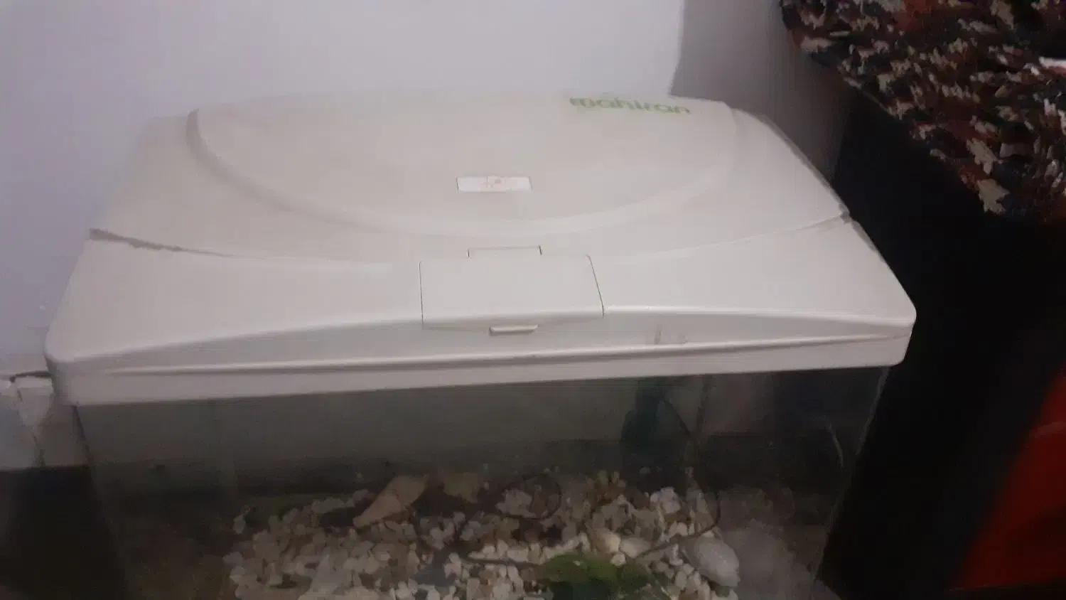 اکواریوم ماهیران|ماهی|پاکدشت, پاکدشت (مامازند)|دیوار