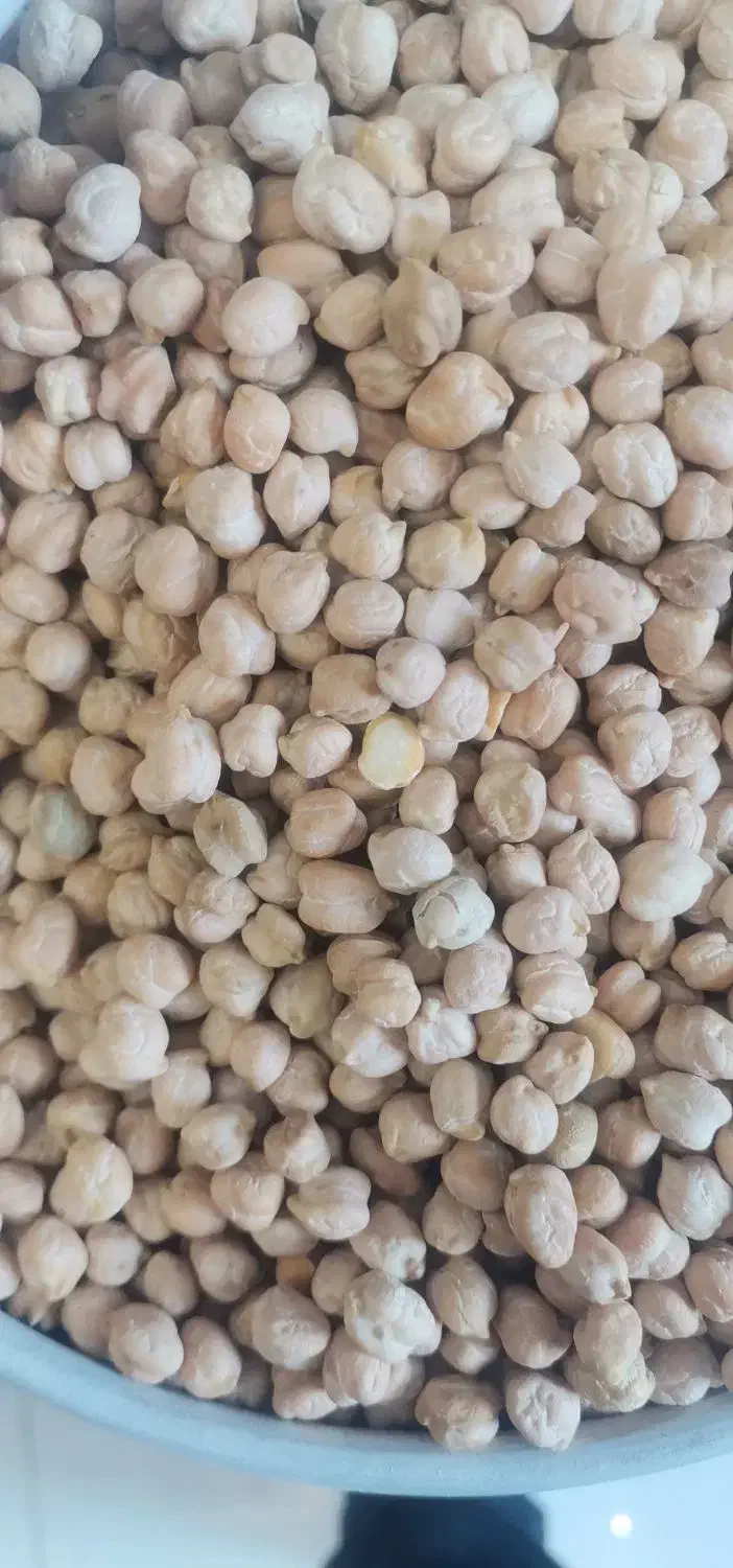 برنج کامفیروزی. زرشک|خوردنی و آشامیدنی|شیراز, شهرک گلها|دیوار